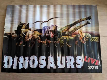 Photo of free Dinosaurs poster (Sedgley DY3) #1
