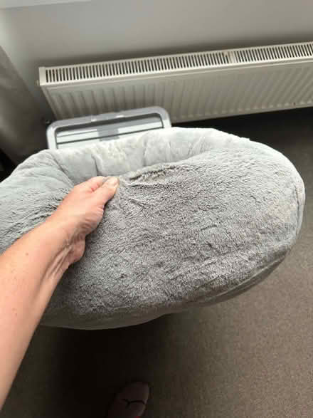 Photo of free Cat bed (Rochester, ME1) #1