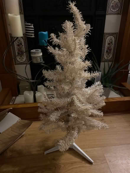 Photo of free White Xmas tree (Kirkby-in-Ashfield) #1