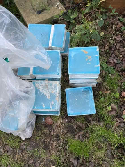 Photo of free Glass bricks (Askew Road W12) #2