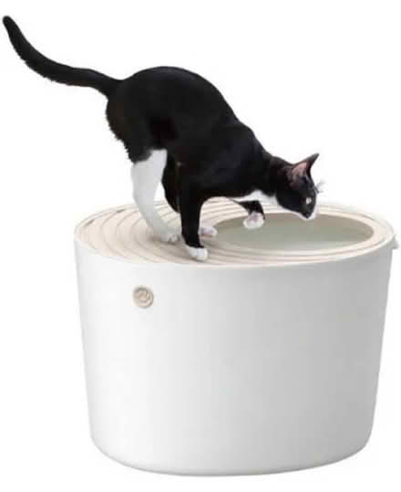 Photo of free 2x Hop-in Cat Litter Trays (Finchley N12) #3