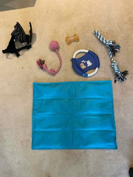 Photo of free Small dog toys (Wimbledon Village) #1
