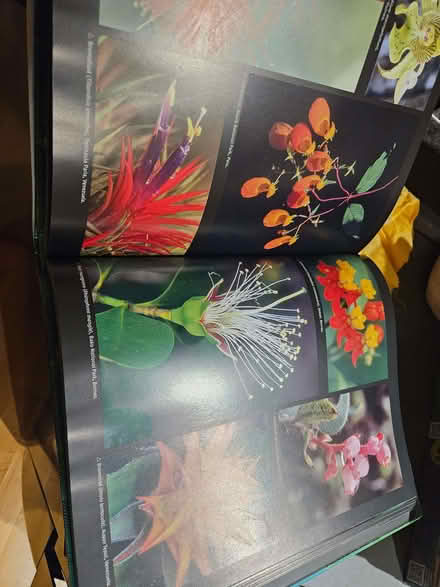 Photo of free Book, rainforest, excellent condition (Higham North area NN10) #3