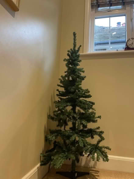 Photo of free 5 ft Christmas tree (Hailsham BN27) #1