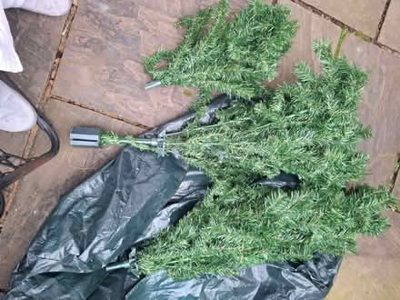 Photo of free Christmas tree with only 2 legs (Rishton BB1) #1