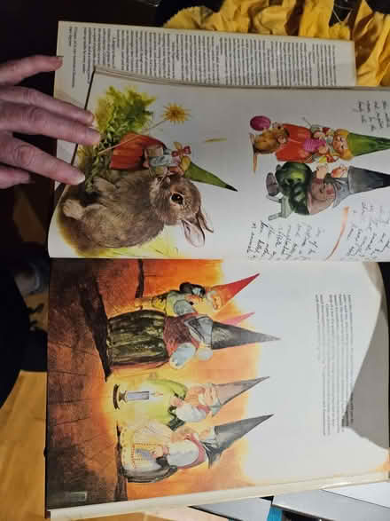 Photo of free Book, Gnomes, in very good condition. (Higham North area NN10) #4