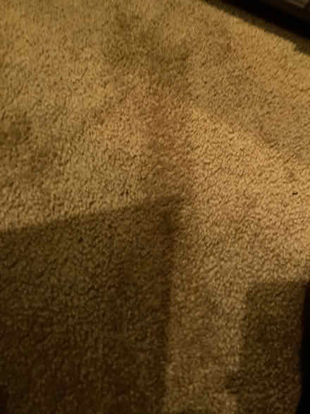 Photo of Carpet2 (Cairo) #1