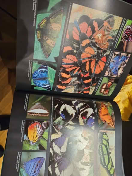 Photo of free Book, rainforest, excellent condition (Higham North area NN10) #2