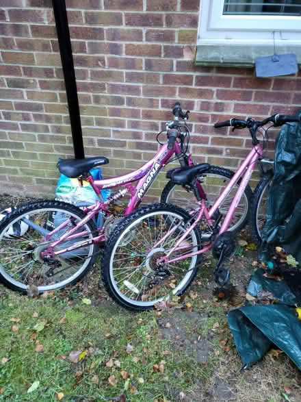 Photo of free 2 x girls mountain bikes (Kenley) #1