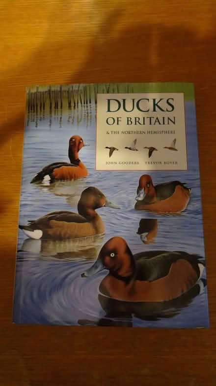 Photo of free Ducks of Britain & the Northern Hemisphere Book (Woodley SK6) #1
