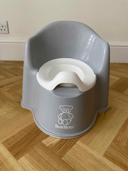 Photo of free Baby Bjorn potty and Pottette Plus (Caversham, Reading) #1