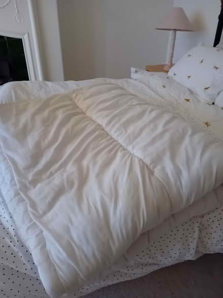 Photo of free Double duvet (Moorfields) #1