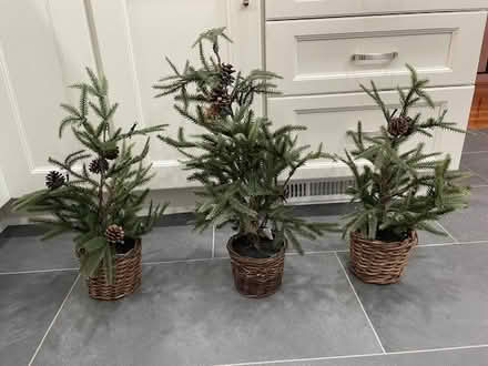 Photo of free 3 Small Artificial Pinecone Trees (10594) #1