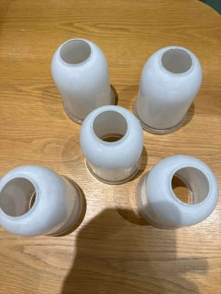 Photo of free Glass light shades (Purley CR8) #1