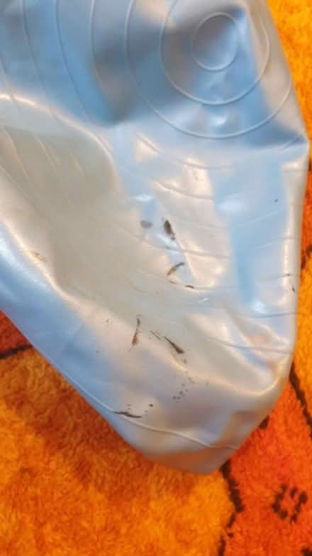 Photo of free Exercise Ball (GL5) #2