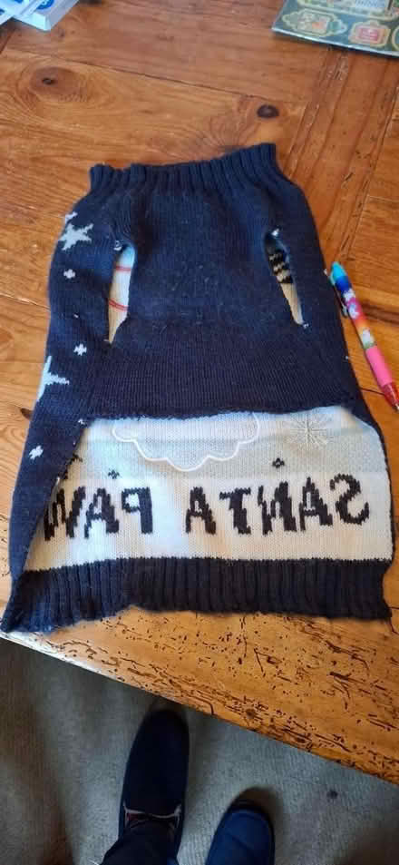 Photo of free Dog Xmas jumper (Malvern WR14) #2