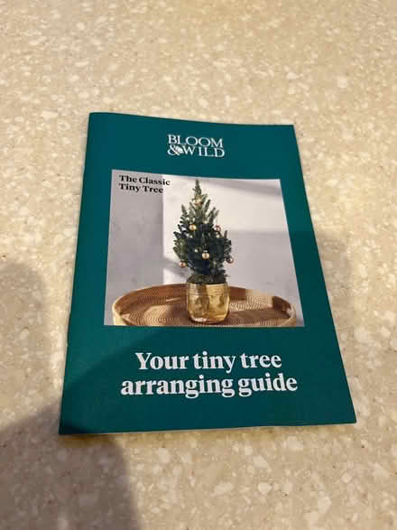 Photo of free Tiny Christmas tree kit. New (Kings Heath) #2