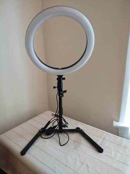 Photo of free Ring computer light (Madrona) #1