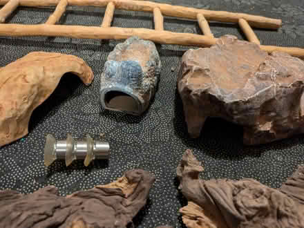 Photo of free Various reptile accessories (LU7) #1