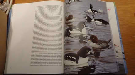 Photo of free Ducks of Britain & the Northern Hemisphere Book (Woodley SK6) #3