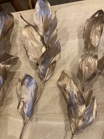 Photo of free Floral Christmas decorations (Newbury RG19) #4