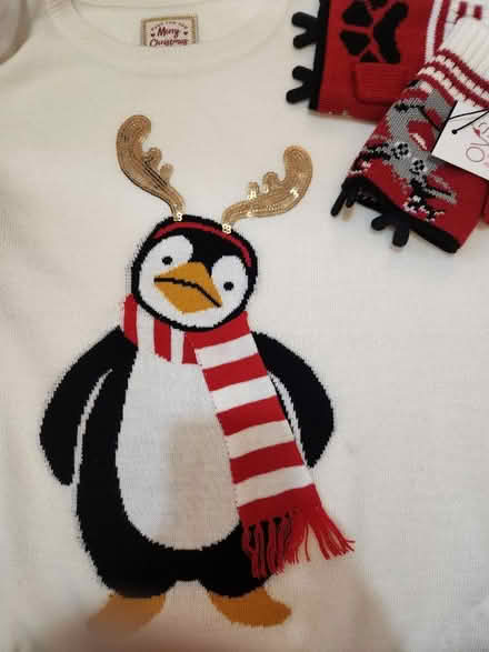 Photo of free Xmas jumper and fingerless gloves (South Tottenham N15) #1
