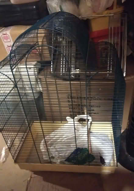 Photo of free Bird cage (Weston SO19) #3