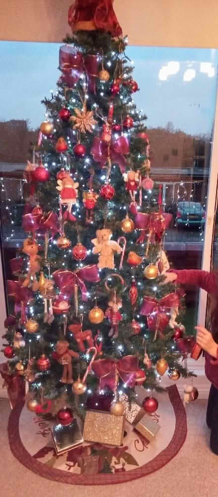 Photo of free Christmas tree (Kingswood SS16) #1