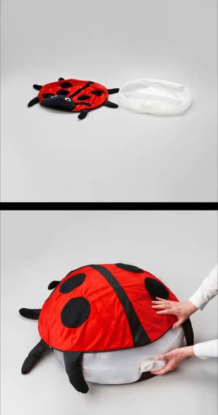 Photo of free Inflatable kids ladybird (Petersham TW10) #1