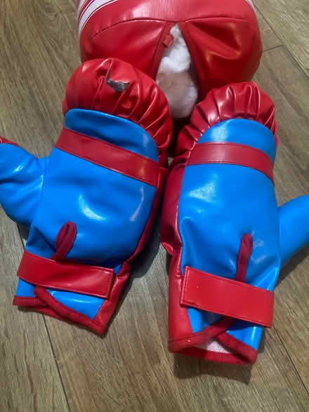 Photo of free Children’s punching bag (Colliers wood) #2