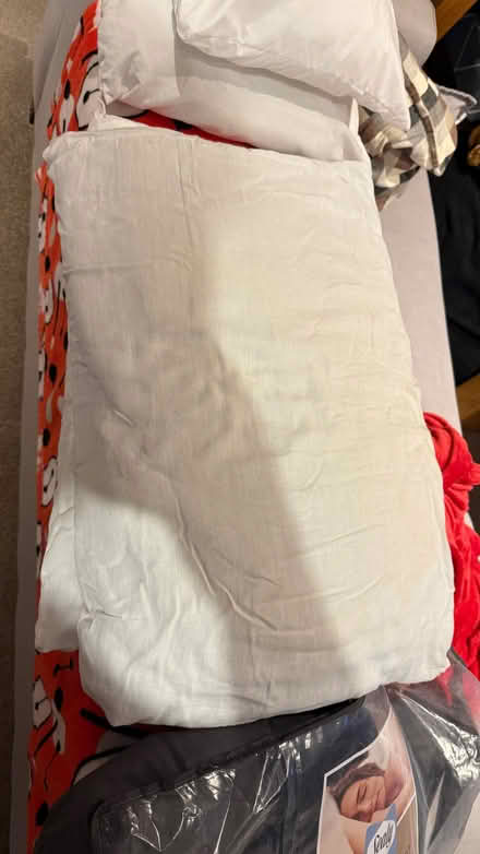Photo of free Pillows (Churchill Square area BN1) #2