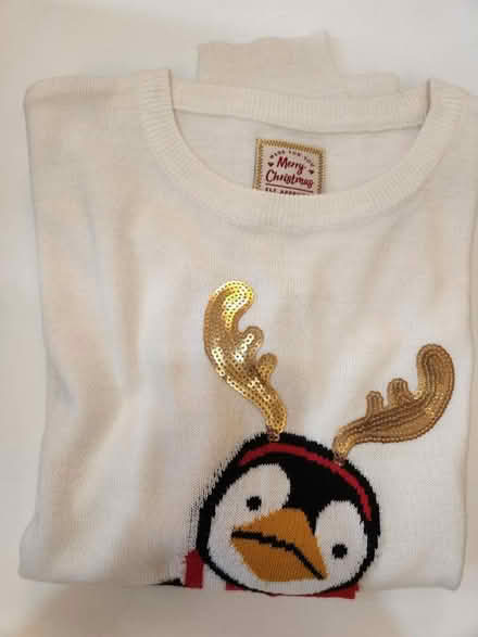 Photo of free Xmas jumper and fingerless gloves (South Tottenham N15) #2