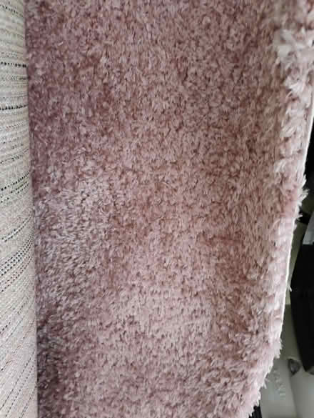 Photo of free Carpet (Castro Valley) #1