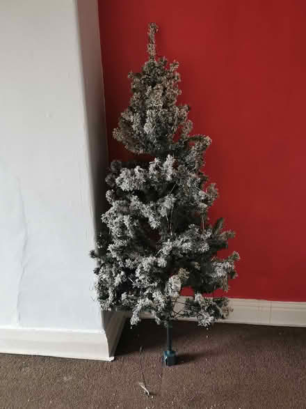 Photo of free Christmas Tree (Morley LS27) #1