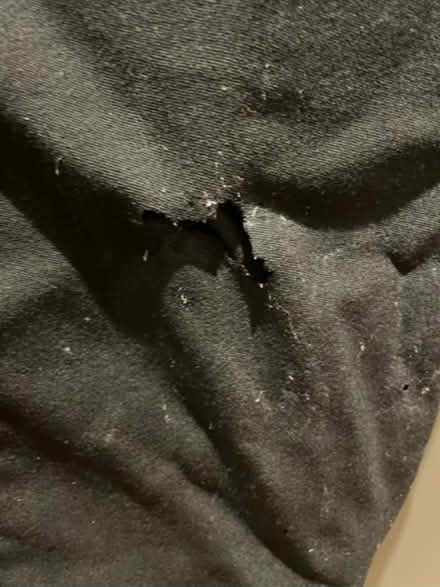 Photo of free Quality tailcoat jacket in need of repair (St Margarets TW1) #2
