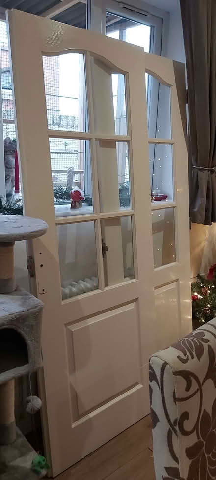 Photo of free Pair of half glazed double doors (Clayhanger WS8) #1