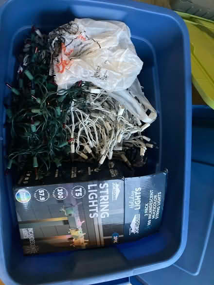 Photo of free Christmas decorations (Pacifica) #3