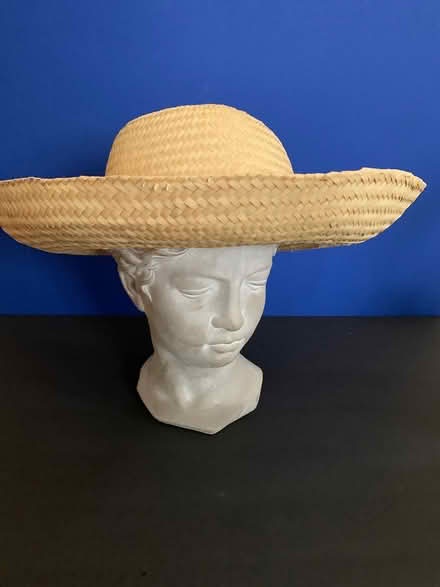 Photo of free Straw hat (head not included) (Vienna) #1