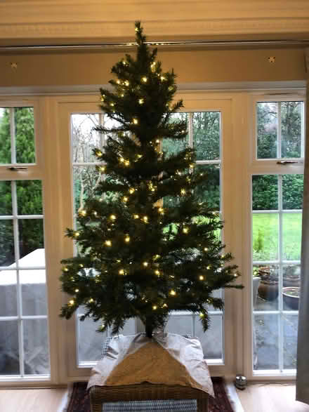 Photo of free Christmas tree (Hook Heath GU22) #2