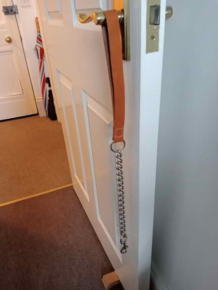 Photo of free Dog lead (Penrith CA11) #1