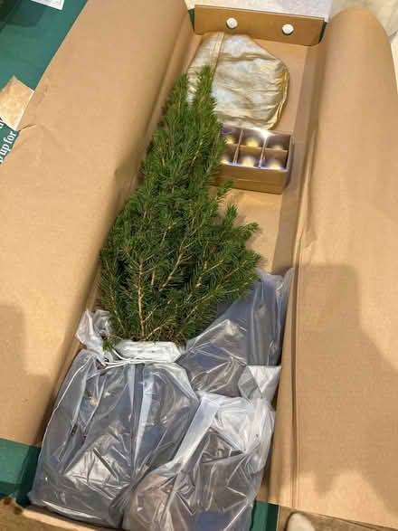 Photo of free Tiny Christmas tree kit. New (Kings Heath) #3