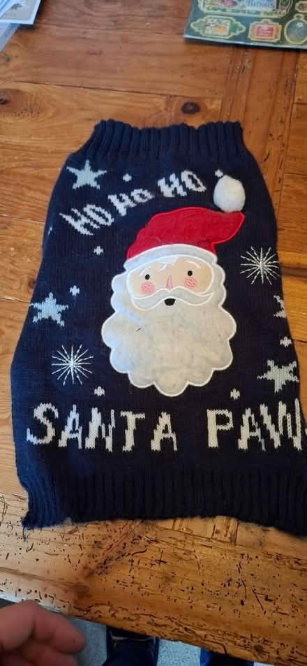 Photo of free Dog Xmas jumper (Malvern WR14) #1