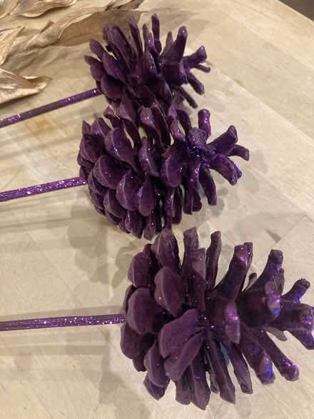Photo of free Floral Christmas decorations (Newbury RG19) #2
