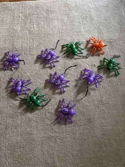 Photo of free Plastic spiders (River Grove, IL) #1