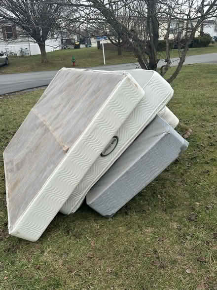Photo of free queen bed & box spring,faucet (Regency Lakes, Winchester) #1