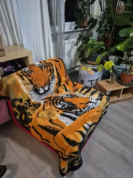 Photo of free Big Red Sofa Chair (Edmonton N9) #2