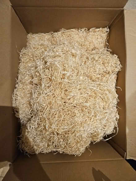 Photo of free to go soon SW18 (Sw18 4hg) #1