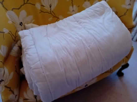 Photo of free Double duvet (Moorfields) #3