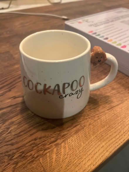 Photo of free Cockapoo mug (Headington OX3) #1