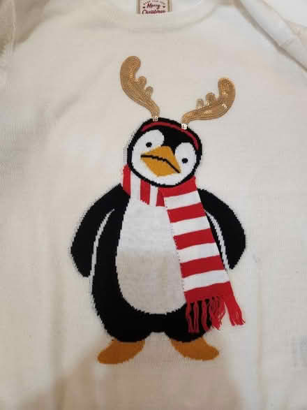 Photo of free Xmas jumper and fingerless gloves (South Tottenham N15) #3